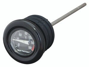 Neofactory lIt@Ng[ ێ^Cv vtIC^NLbv \teC HARLEY-DAVIDSON n[[_rbh\ v p֘A GW