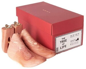 DEGNER fOi[ yBRIGAzV[gD[ u[c^Cv ̑V[YIvVECi tbgEFA