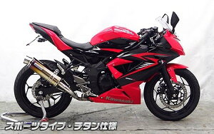 WirusWin ECYEB XbvI}t[ jW250SL KAWASAKI JTL }t[ TCT[fށF`^dl / TCT[oFoY[J[^Cv