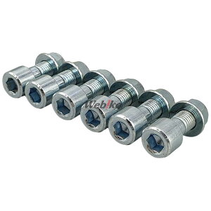 GALE SPEED QCXs[h NbVhCu{gSET P1.25 (6{) [t@[1100 [t@[1100RS [t@[750 [t@[750RS ZX-6R ZX-6RR KAWASAKI JTL ̑zC[IvVECi zC[