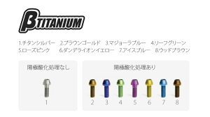 ��TITANIUM �x�[�^�`�^�j�E�� �G�L�]�[�X�g �X�^�b�h�`�^���{���g�L�b�g Z800 ZX-14 R ZX-6 KAWASAKI �J���T�L �X�^�b�h�{���g �G���W���p�[�c �G���W�� �J���[�F�E�b�h�u���E��(�z�Ɏ_������)