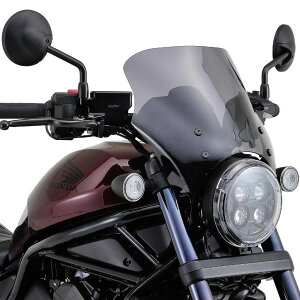 DAYTONA fCgi uXgoA[(R) ԎʃLbg Rebel1100 DCT HONDA z_ XN[ O