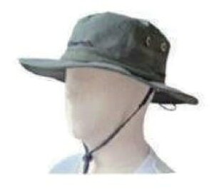 StreamTrai Xg[gC HAT [ LbvEXq Ap