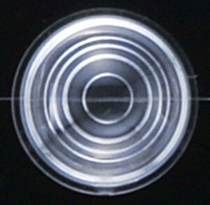 KIJIMA キジマ 補修ウインカーレンズ(2個セット) 汎用 HARLEY-DAVIDSON ハーレーダビッドソン ウインカーレンズ 灯火類 電装系