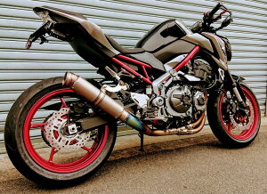 ASAHINA RACING ATqi[VO t`^EX GPtH[~dl Z900 KAWASAKI JTL tGL][Xg}t[ }t[ TCT[F300mm / IvVpobtF / IvV