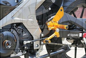 BABYFACE �x�r�[�t�F�C�X ���[�X�R���Z�v�g�E�X�e�b�v�L�b�g GSX-R125 GSX-S125 GSX-R150 GSX-S150 SUZUKI �X�Y�L �o�b�N�X�e�b�v �X�e�b�v �����