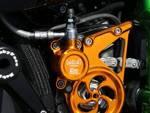 BABYFACE xr[tFCX Nb`[Y jW H2 KAWASAKI JTL Nb`[Y 쓮n J[FS[h