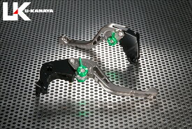 U-KANAYA ユーカナヤ GPタイプ アルミビレットレバーセット Ninja1000 Z1000 KAWASAKI カワサキ KAWASAKI カワサキ レバーカラー：チタンカラー / アジャスターカラー：ブラック / レバータイプ：ショート(レバー部全長：約145mm)