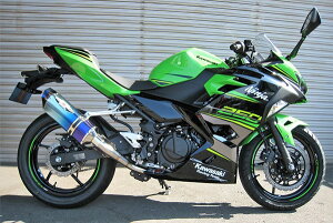 BEET r[g NASSERT R Evolution Type II JP250pXeX[VO}t[ jW250 KAWASAKI JTL tGL][Xg}t[ }t[