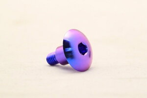 T2 Racing T2[VO V[gJE{g NSR250R HONDA z_ ̑ėpOiEhXAbvp[c O