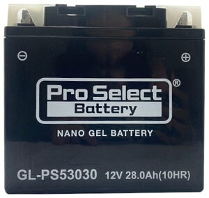 Pro Select Battery �v���Z���N�g�o�b�e���[ BMW��p�W�F���o�b�e���[�yGL-PS53030�z ���n�o�b�e���[ �o�b�e���[�֘A