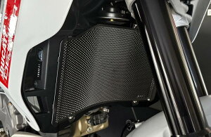 AELLA AG WG^[veN^[ DesertX DUCATI hDJeB WG[^[ p֘A GW