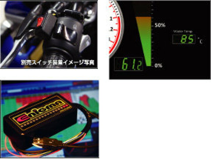 楽天市場】DILTS JAPAN ディルツジャパン ENIGMA ファイヤープラス 