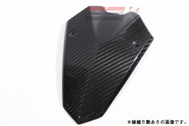 SPEEDRA スピードラ フロントマスク Z1000 (水冷) KAWASAKI カワサキ