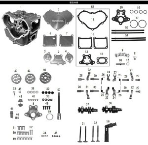 SP SP^PK DESMO 4VALVE wbhLbg(124ccF25^20J) L[ S HONDA z_ V_[wbh GWp[c GW