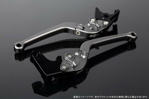 SPEEDRA スピードラ アジャストレバー スタンダード可倒式 ADV150 ADV160 PCX125 PCX160 HONDA ホンダ ブレーキレバー ハンドル周辺パーツ ハンドル レバー本体カラー:マットチタン / アジャスターカラ