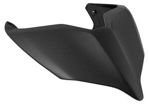 LighTech ���C�e�b�N �e�[���J�E�� PANIGALE V4 S R SP STREETFIGHTER DUCATI �h�D�J�e�B �V�[�g�J�E���E�e�[���J�E�� �J�E���֘A �O��