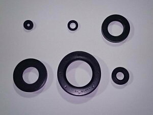Jfs WFCY GWICV[ CB750F CB900F HONDA z_ ICV[ GWp[c GW
