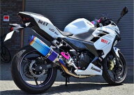 BEET ビート NASSERT Evolution TypeIIフルエキゾーストマフラー Ninja400 KAWASAKI カワサキ フルエキゾ…