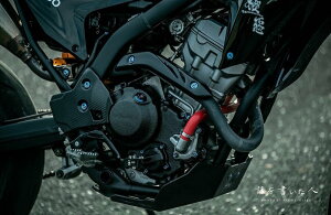 SKUNY �X�N�[�j�[ �G���W�� �X�L�b�h�v���[�g CRF300L HONDA �z���_ �A���_�[�K�[�h�E�X�L�b�h�v���[�g �t���[��
