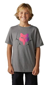 FOX tHbNX [X V[Y TVc Ap