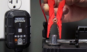 NOCO mR W[jAXobe[`[W[ [G1JP] Genius1 obe[[dEobe[`[W[ obe[֘A