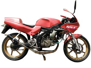 RSR^ [VOVbvR^ NS1t[(NSR80EG)艮yXeX芪 `o[ nCp[^Cv NS-1 HONDA z_ }t[
