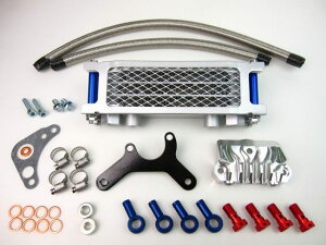 MINIMOTO ~jg 12VL[ICN[[3iRAveN^[ L[ HONDA z_ ICN[[ p֘A GW