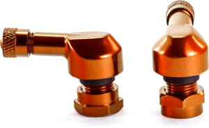 Puig v[` GA[ou RACE (RACE VALVES) GAou
