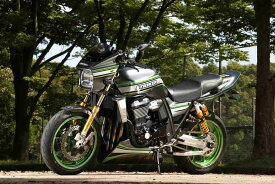 STRIKER ストライカー G-STRIKER スイングアーム パワーディメンション Type-S(スタビ付き) 半艶ブラック仕上げ ZRX1200DAEG KAWASAKI カワサキ チタンチェーンアジャスターボルト：あり / ブレーキホースクランプ加工：あり(ストライカー指定標準位置)