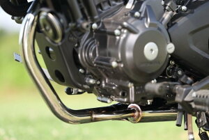 SPj XyVp[cj POWERBOX (p[{bNX) pCv u250 S Edition HONDA z_ GL][XgpCv }t[