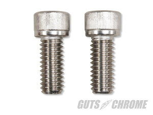 GUTS CHROME KbcN[ GL][Xg{g Vxp HARLEY-DAVIDSON n[[_rbh\ ̑}t[IvVECi }t[