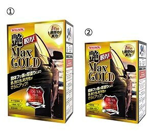 WILLSON EC\ MaxGOLD^Cv bNXER[eBOEKXR[eBO P~J