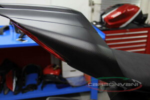 CARBONVANI �J�[�{���o�[�j �e�[���J�E�� 1299 PANIGALE DUCATI �h�D�J�e�B �V�[�g�J�E���E�e�[���J�E�� �J�E���֘A �O��