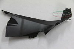 CARBONVANI J[{o[j GAt@lJo[ 899 PANIGALE DUCATI hDJeB ̑O O