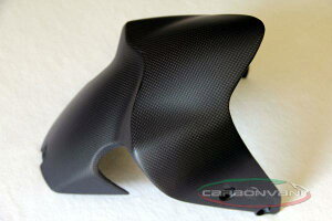 CARBONVANI �J�[�{���o�[�j �t�����g�t�F���_�[ MONSTER 1200 R S DUCATI �h�D�J�e�B �t�F���_�[�֘A �O��