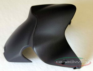 CARBONVANI J[{o[j tgtF_[ MONSTER 797 DUCATI hDJeB tF_[֘A O