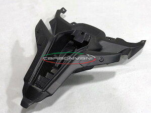 CARBONVANI �J�[�{���o�[�j �V�[�g�J�E�� PANIGALE V4 S DUCATI �h�D�J�e�B �V�[�g�J�E���E�e�[���J�E�� �J�E���֘A �O��