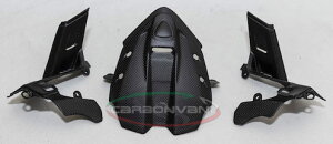 CARBONVANI J[{o[j [^[Jo[ PANIGALE V4R DUCATI hDJeB [^[ECWP[^[֌W dn