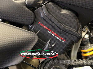CARBONVANI J[{o[j V_[Jo[Lbg PANIGALE V4R DUCATI hDJeB ̑O O