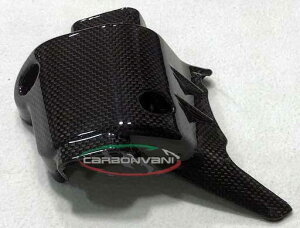 CARBONVANI J[{o[j LjX^[ BRUTALE B3 MV AGUSTA AOX^ ̑O O