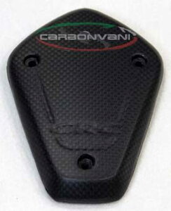 CARBONVANI J[{o[j ^NveN^[ BRUTALE 800 DRAGSTER MV AGUSTA AOX^ ^NJo[ ^N֘A O