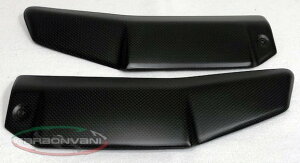 CARBONVANI J[{o[j Abp[EWG[^[veN^[ STREETFIGHTER V4 DUCATI hDJeB WG[^[RAK[hEICN[[RAK[h p֘A GW