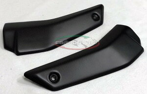 CARBONVANI J[{o[j AEWG[^[veN^[ STREETFIGHTER V4 DUCATI hDJeB WG[^[RAK[hEICN[[RAK[h p֘A GW