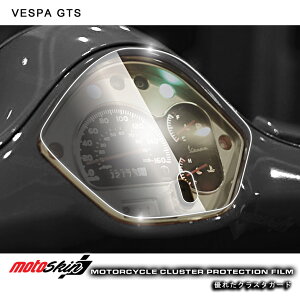MOTO SKIN gXL [^[veNVtB TPUNX^ GTS Vespa xXp [^[tB [^[ECWP[^[֌W dn