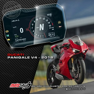 MOTO SKIN gXL [^[veNVtB TPUNX^ PANIGALE V4 2018 DUCATI hDJeB [^[tB [^[ECWP[^[֌W dn