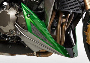 BODY STYLE �{�f�B�[�X�^�C�� �X�|�[�c���C�� �x���[�p���ySportsline belly pan�z Z1000 R Edition KAWASAKI �J���T�L �A���_�[�J�E�� �J�E���֘A �O�� �J���[�F�O���[�^�O���[��(Metallic Matte Carbon Gray�C51B�^G