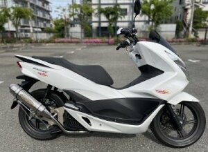 BURIAL xA NEXUS(lNTX) RRS 170KITp}t[ PCX125 HONDA z_ tGL][Xg}t[ }t[