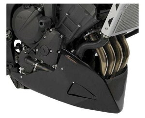 BARRACUDA �o���N�[�_ ENGINE SPOILER FZ6-N FZ6-S YAMAHA ���}�n �A���_�[�J�E�� �J�E���֘A �O��
