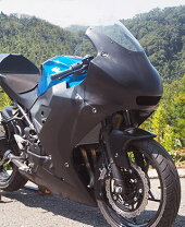 楽天市場】ninja250r カウルセットの通販